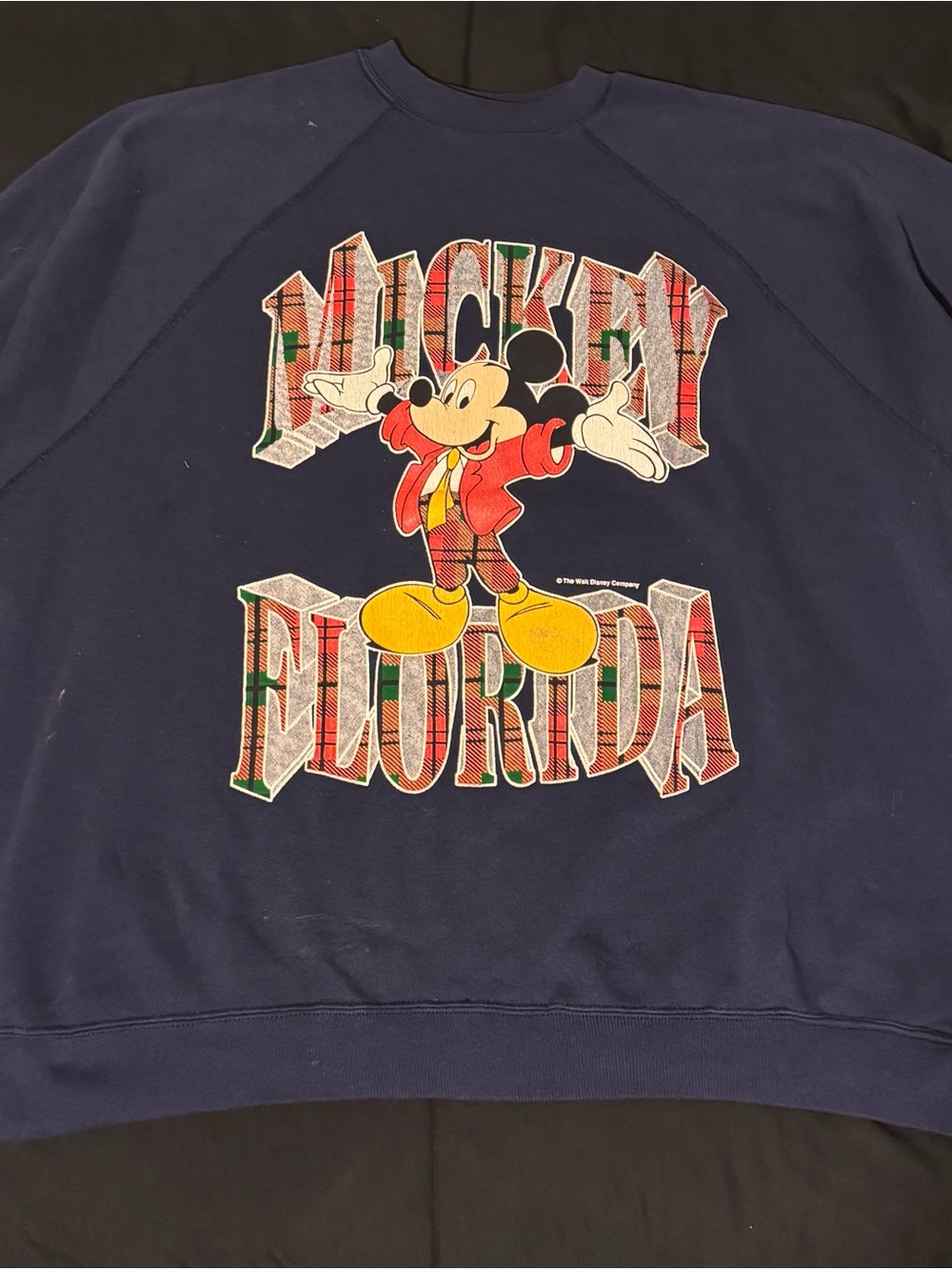 Vintage 90s Mickey Florida Plaid Crewneck